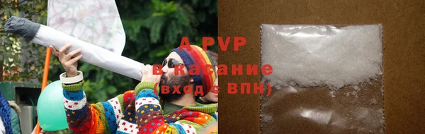 стаф Абаза