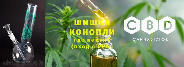 стаф Абаза