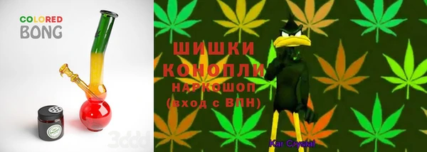 стаф Абаза