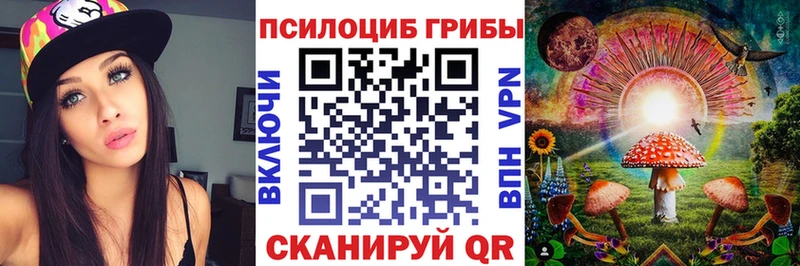 блэк спрут как зайти  Александровск  Галлюциногенные грибы ЛСД 