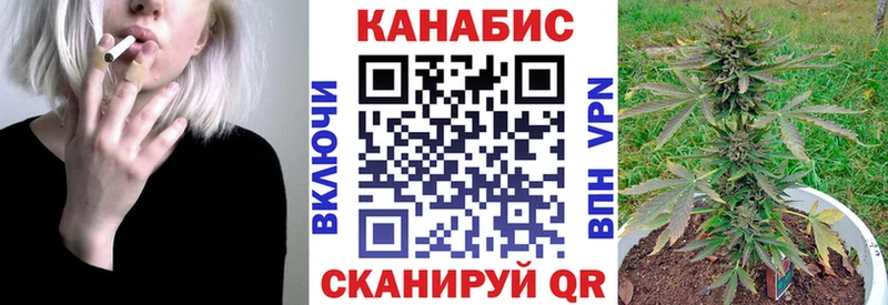 где купить наркотик  Александровск  Шишки марихуана OG Kush 